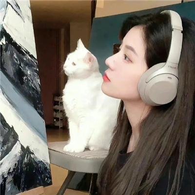 秋月春花未了情